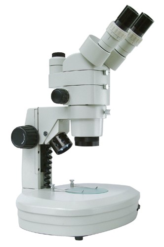 带底光体视显微镜