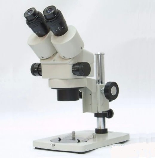 体视显微镜